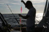 Setting the bait
