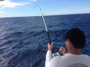 Baldo's first Sailfish