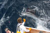 Sailfish 2010